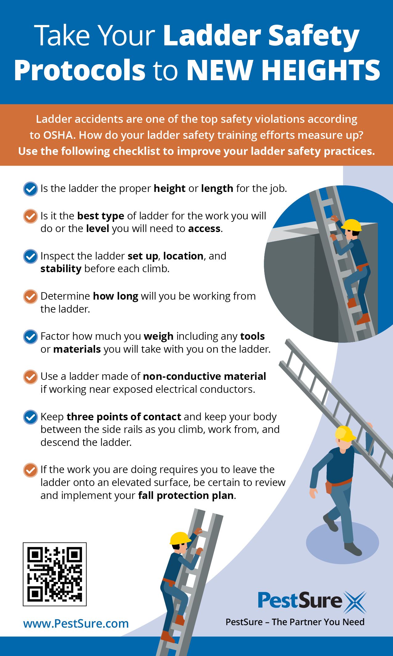PestSure Infographic Ladder Safety