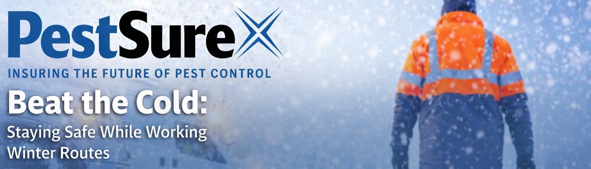 Beat the Cold: Staying Safe While Working Winter Routes